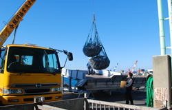 [LNG:ENG]Export and import of frozen fish
