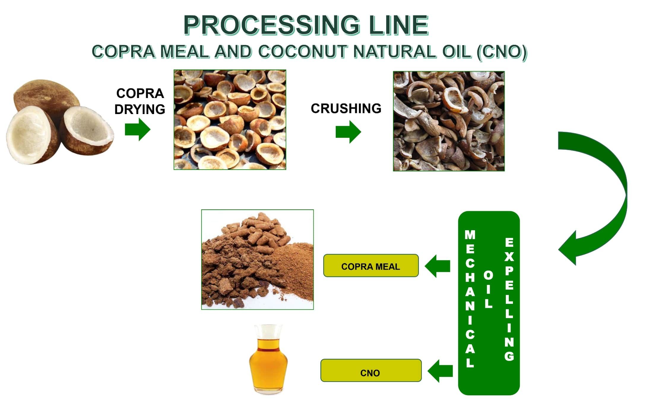 processing line for COPRA meal and coconut natural oil (CNO)