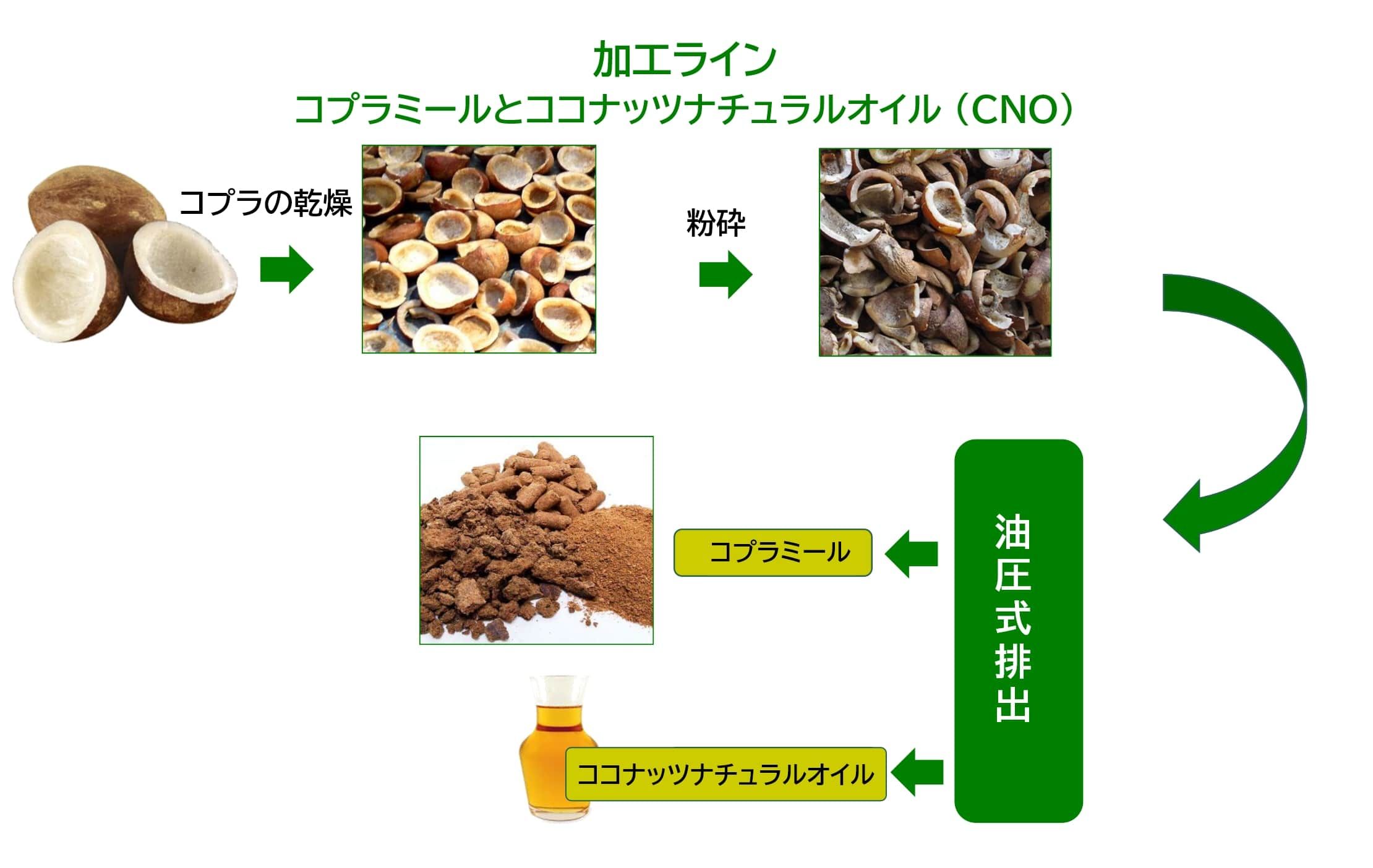 コプラミールとココナッツナチュラルオイル（CNO）を作成する加工ライン図