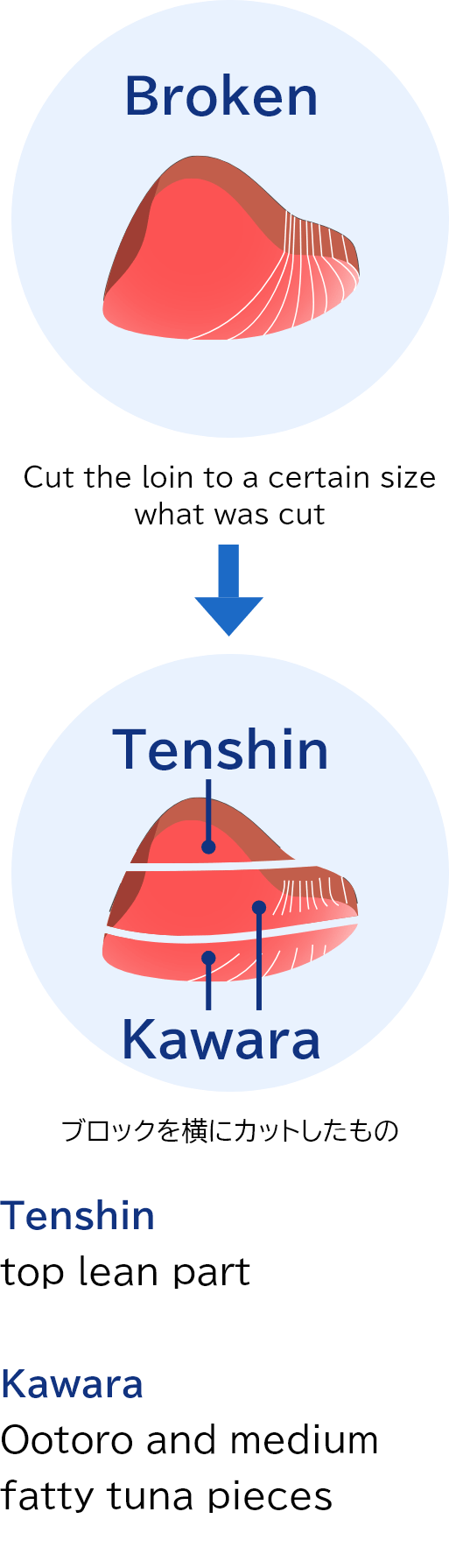 ロインをある程度の大きさにカットしたものからブロックを横にカットし、天身とカワラへ加工します。天身とは上部の赤身の部分、カワラとは大トロ、中トロの部分のことです。