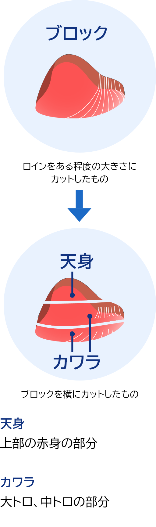 ロインをある程度の大きさにカットしたものからブロックを横にカットし、天身とカワラへ加工します。天身とは上部の赤身の部分、カワラとは大トロ、中トロの部分のことです。